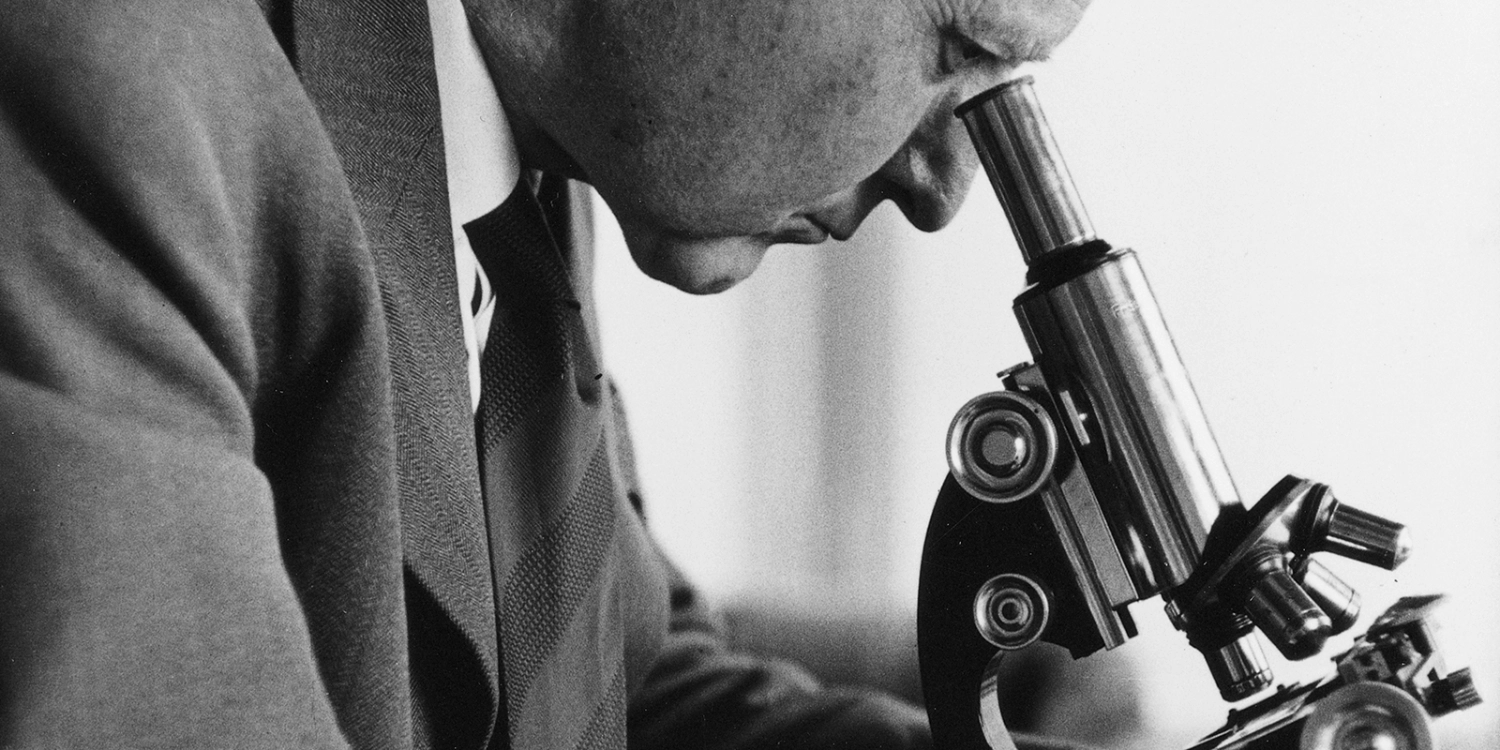 Contact and Distribution | Louis Widmer